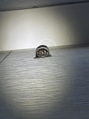 image0_2.jpeg