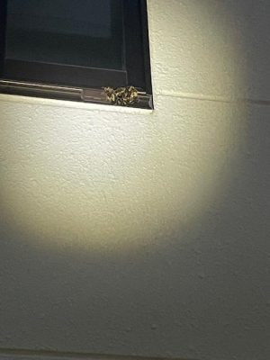 image2_2.jpeg